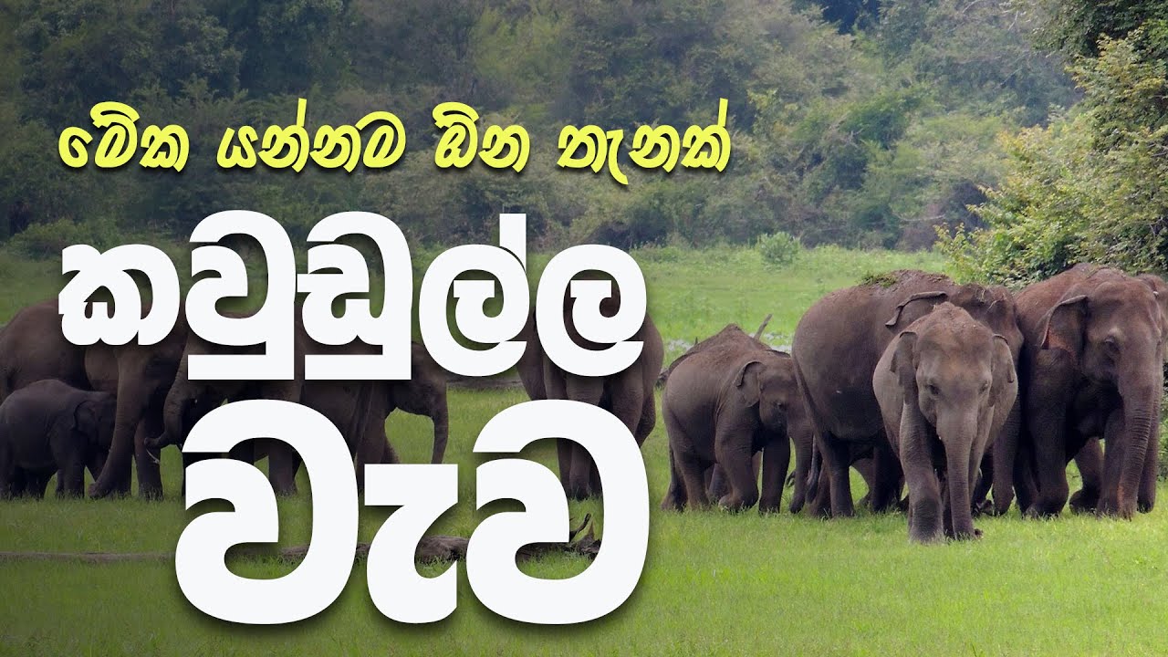 Kaudulla Wewa and National Park