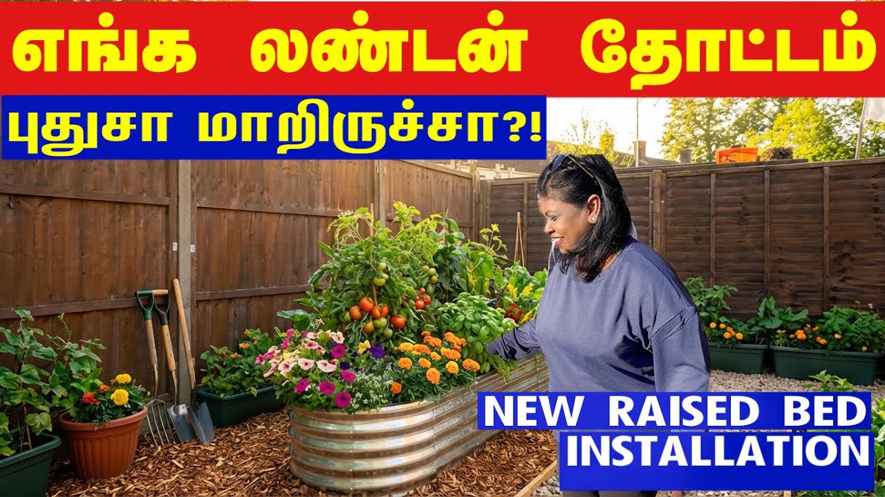 🪴எங்க லண்டன் வீட்டு தோட்டமே மாறிபோச்சு?!/Big garden bed installation in our garden/இலங்கை கத்தரி கறி