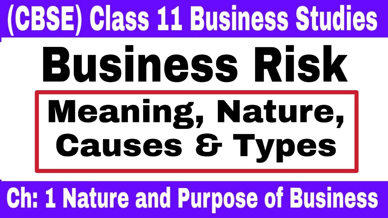 Video #11 || Business Risk Meaning, Nature, Causes & Types || Class 11 Business Studies ||