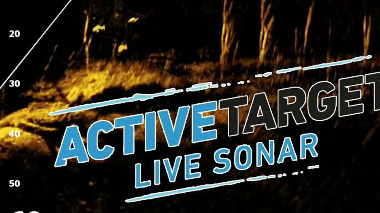 Active Target — Cómo proceder🖥🐟🎯