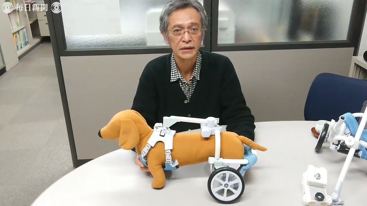 犬用車椅子、販売軌道に　ペットもバリアフリー　改良重ね量産へ　杉戸のベンチャー　／埼玉
