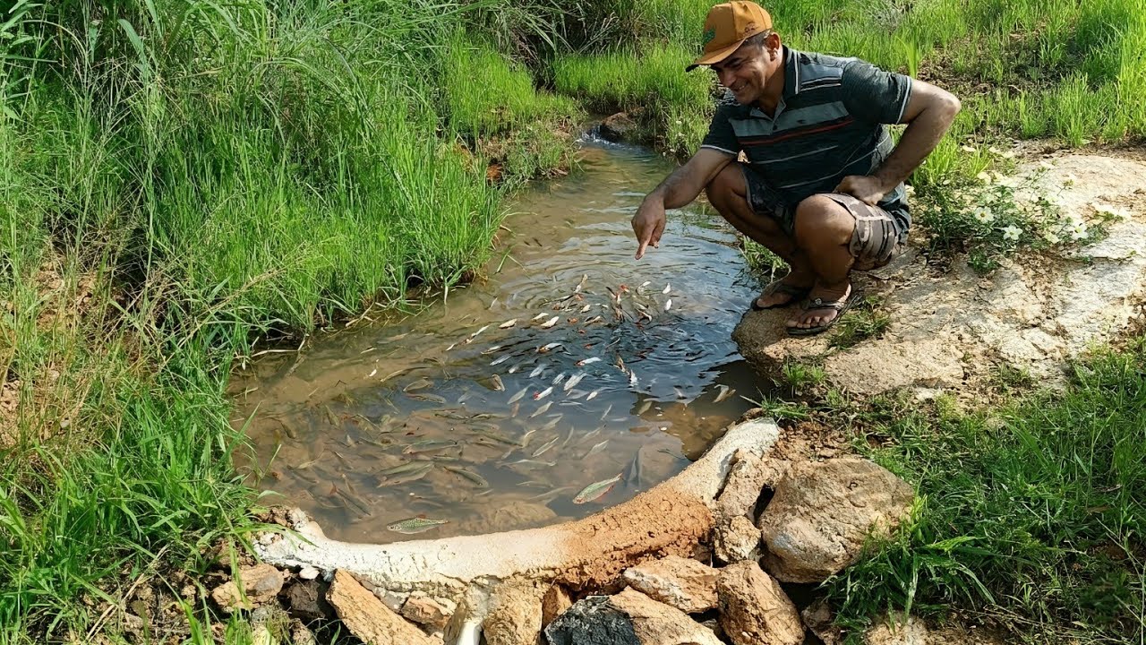 ESSE É O RESULTADO DA GRANDE EXPLOSÃO DE PEIXES NO LEITO DOS AÇUDES 