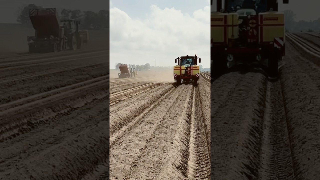 Sadzenie Ziemniak&oacute;w na zagonie GRIMME GB 330 i JOHN DEERE