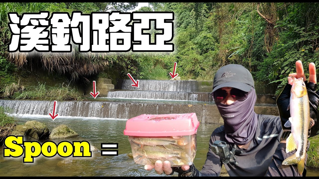 山溪路亞最基本的餌【Spoon亮片】這裡山溪一層一層的！而且一隻還比一隻大！拉不完啦！#Spoon#亮片#馬口魚#一枝花#陳小Chi路亞日誌