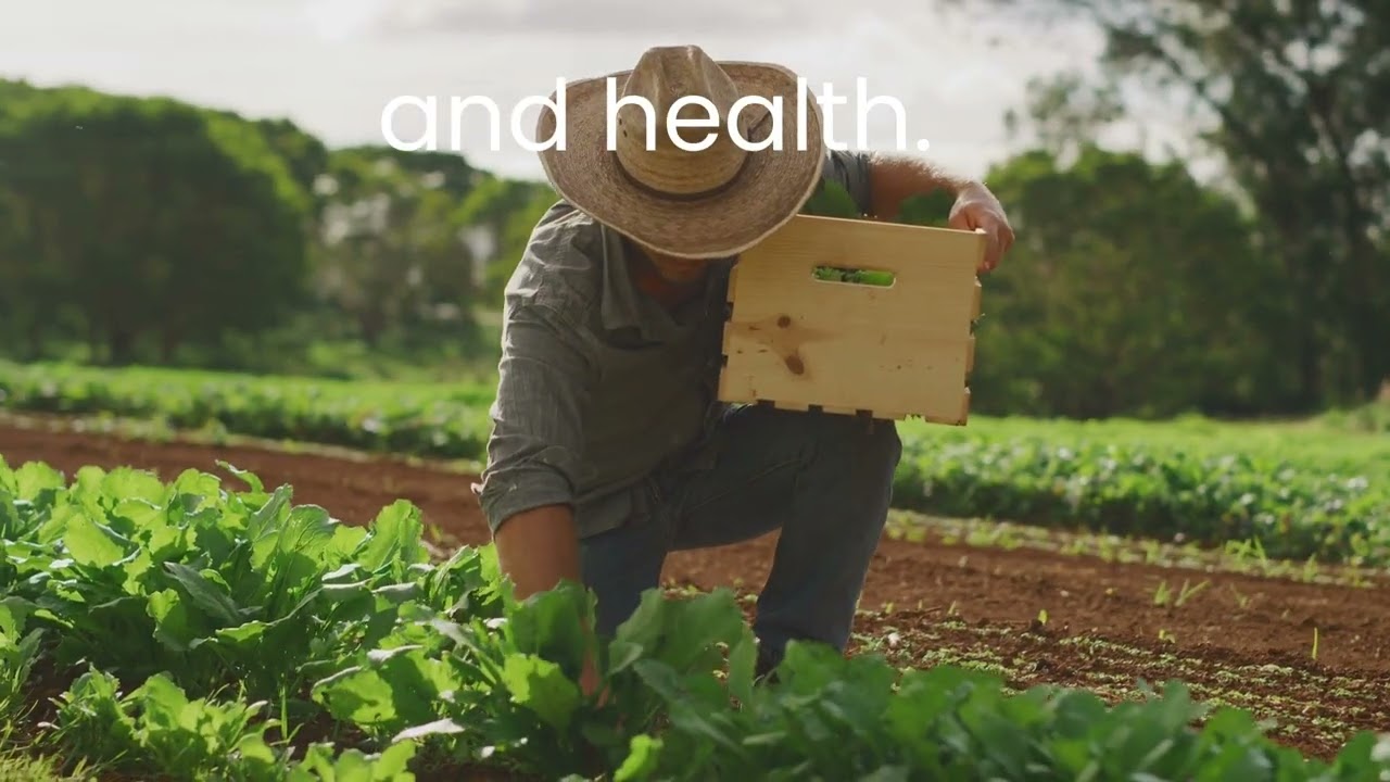 New IPM 2025 Promotional Video