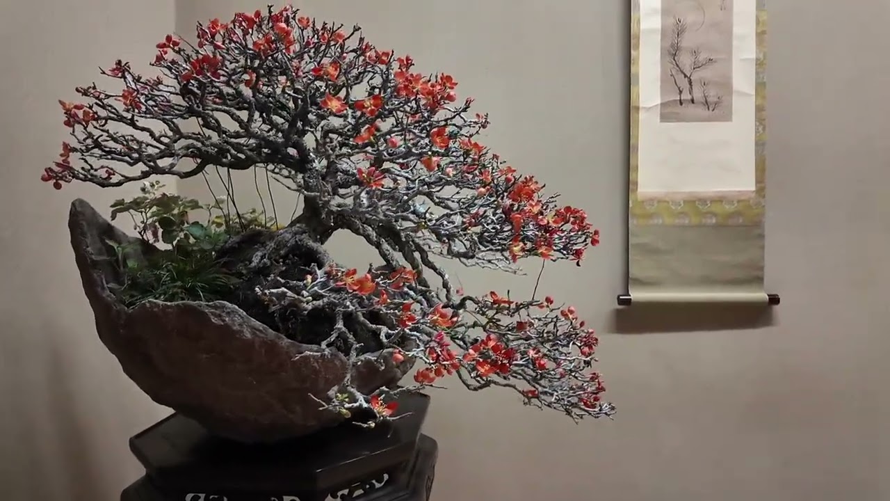 Shunkaen Bonsai Museum von Kunio Kobayashi ein Rundgang