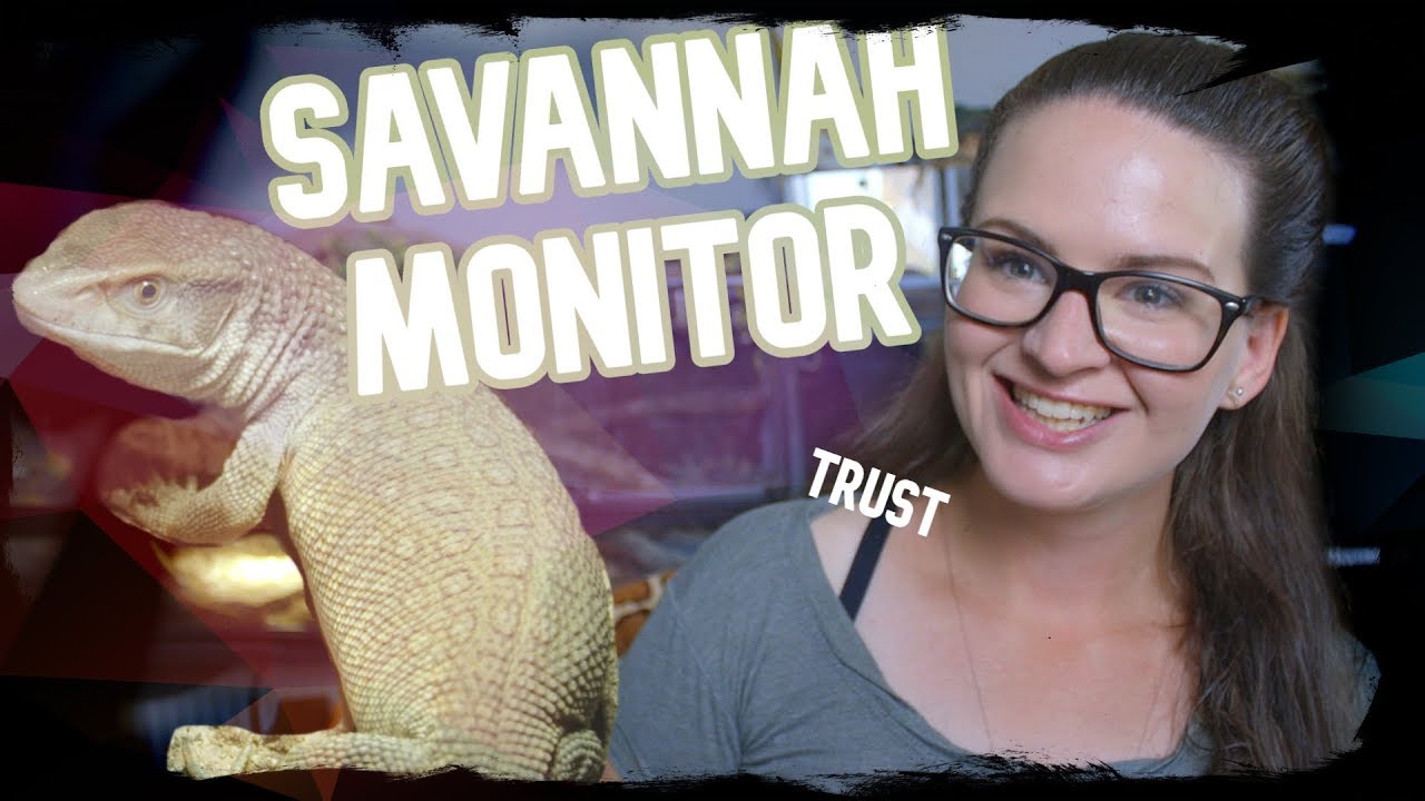 SAVANNAH MONITOR TRUST!