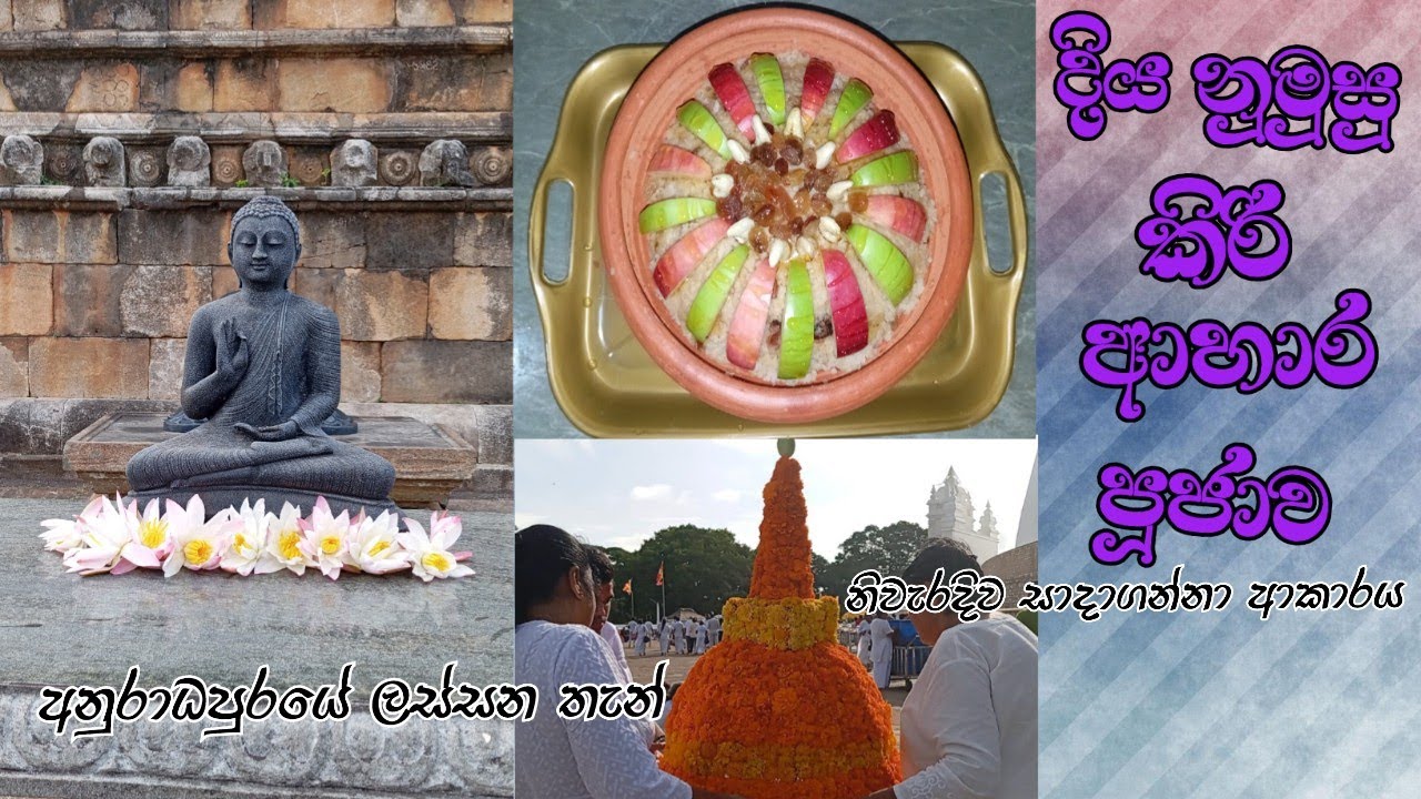ශ්‍රී මහා බෝධීන්වහන්සේ වෙනුවෙන් පූජා කල දිය නුමුසු කිරි ආහාර පූජාව. | sri maha bodhi Anuradhapura