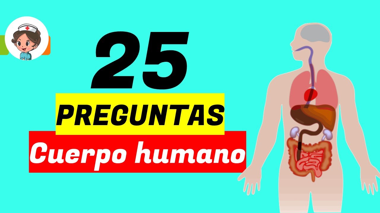 [Test] CUERPO HUMANO ⌛ Preguntas y respuestas
