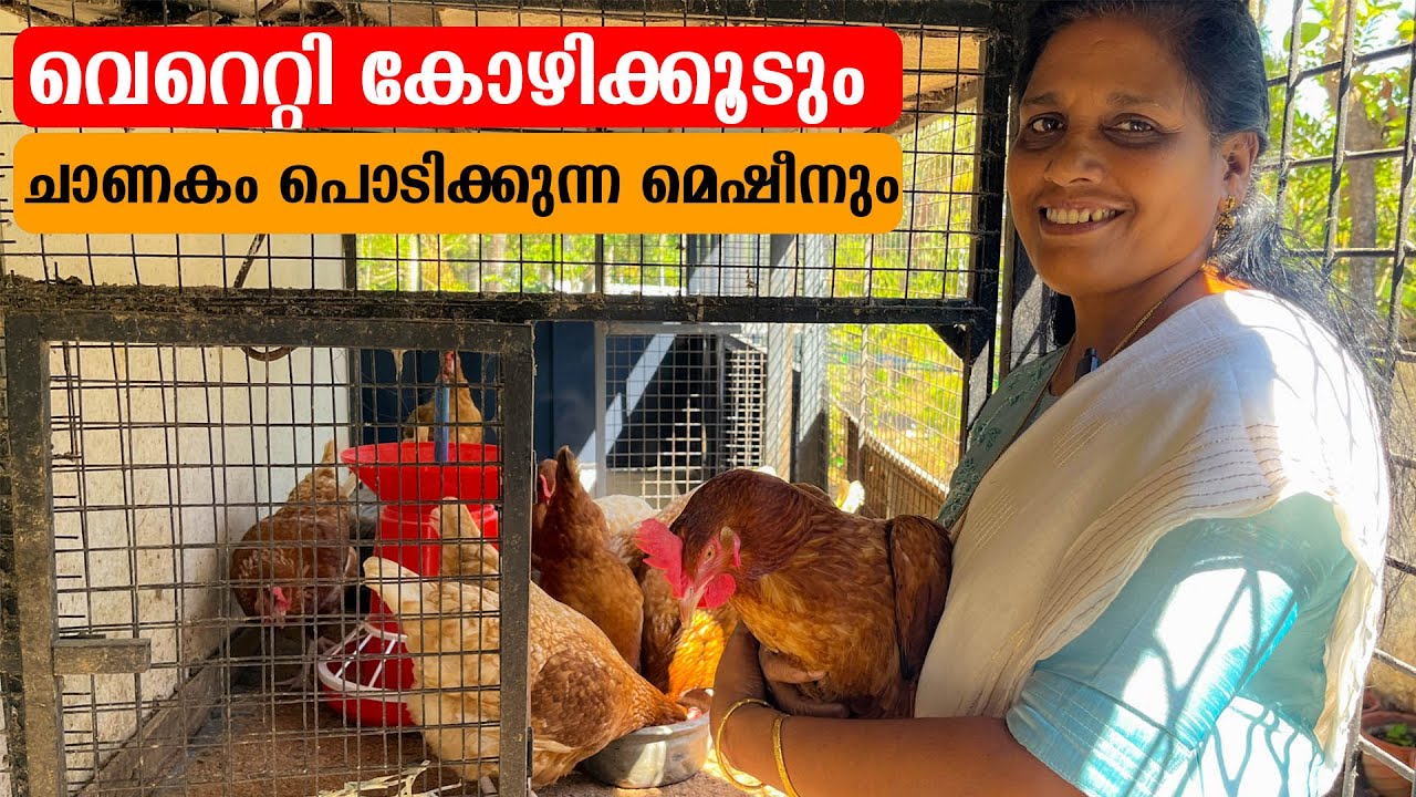 വെറെറ്റി കോഴിക്കൂടും ചാണകം പൊടിക്കുന്ന മെഷീനും | Minils Lifestyle