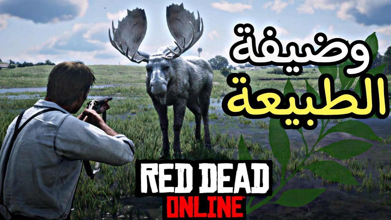 لعبت بوضيفة الطبيعة واخدت عينات من الحيوانات ريدديد اون لاين rdr2 online