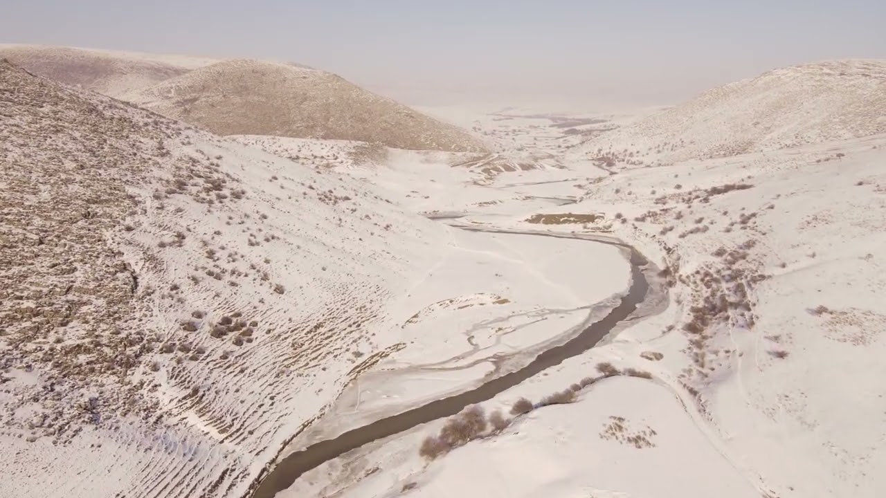 Түлкібас ауданы Керейт ауылы 21 01 2023