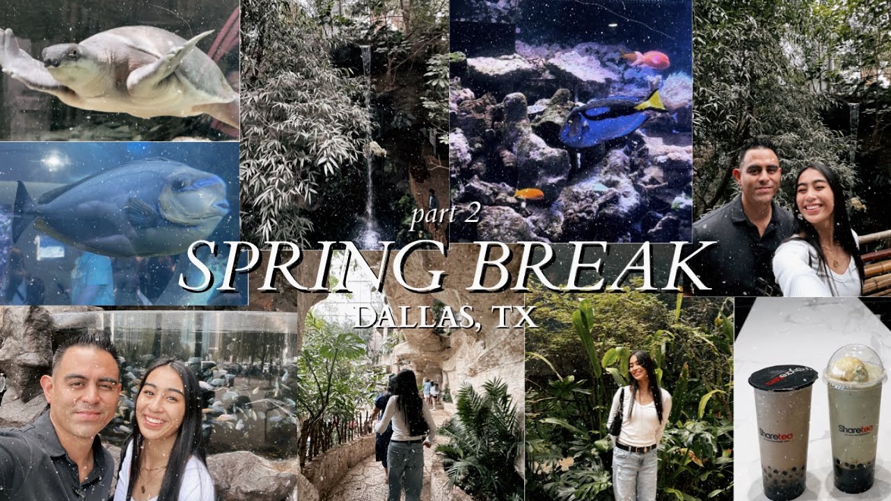 SPRING BREAK: Dallas TX - pt. 2 | march 13, 2024