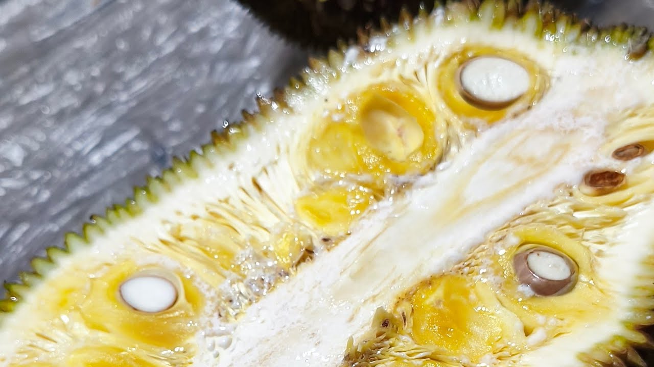 Jhoward Francisco is live Jackfruit