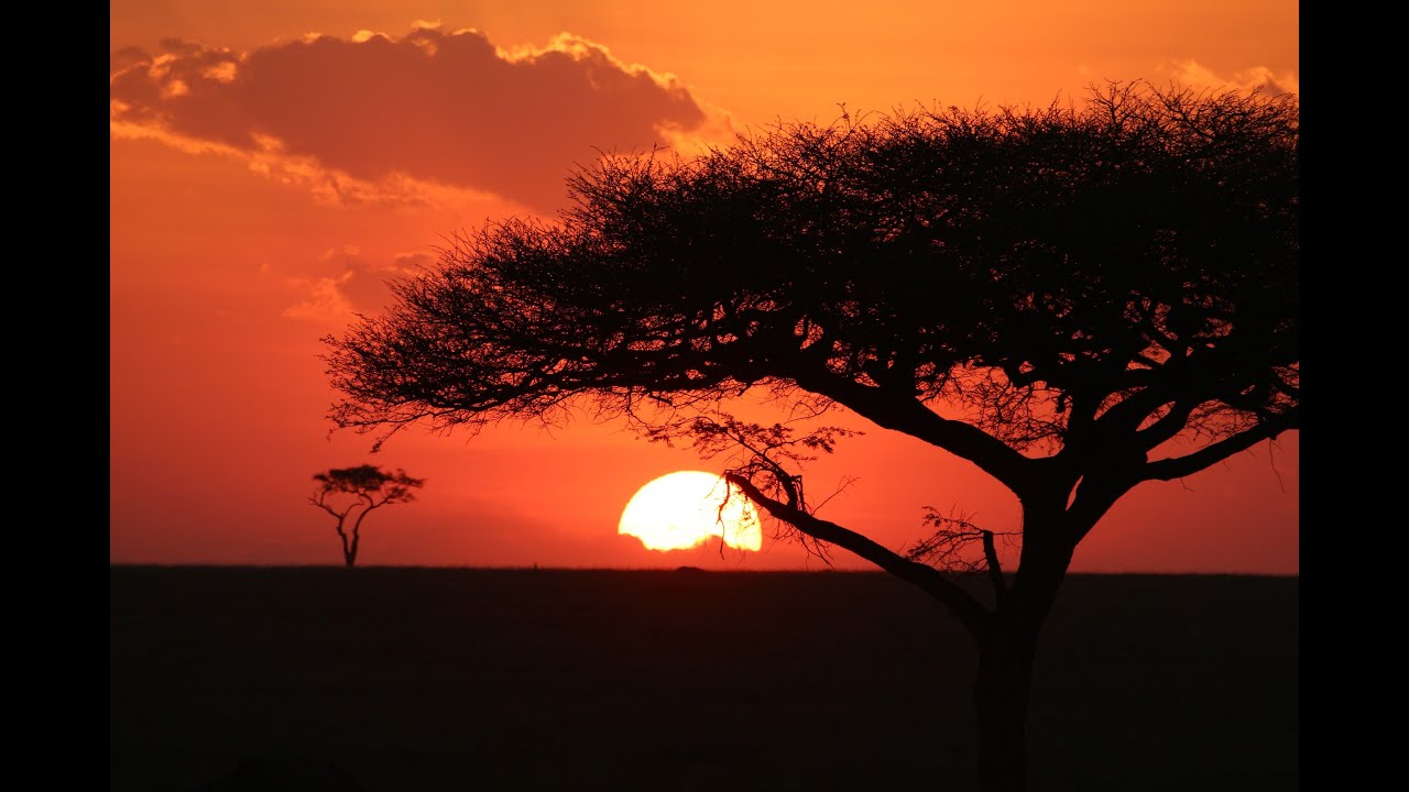 Safari in Tanzania: Serengeti, Ngorongoro, Lake Manyara,Tarangire