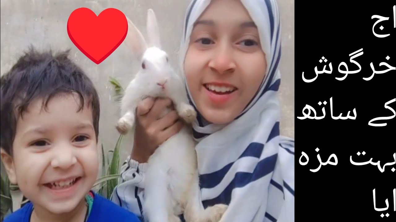 Rabbit k Sath AJ buhat Maza aya😀||mini zoo vlog||Arjz pets lover vlog||2026