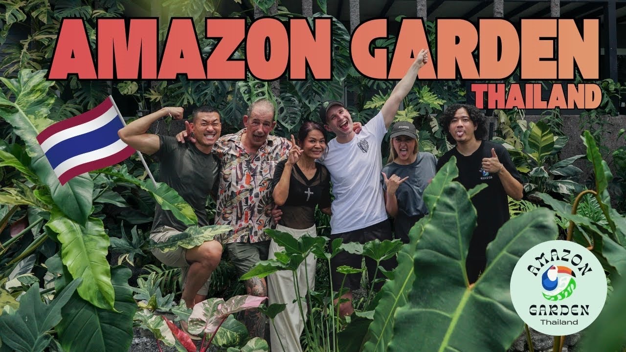 Amazing Collection of Monstera species & so much more at Amazon Garden Thailand