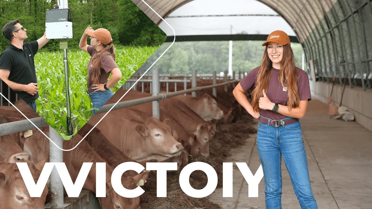 Zarządzanie farmą cyfrową z xFarm: doświadczenie @vvictoiy  👩&zwj;🌾