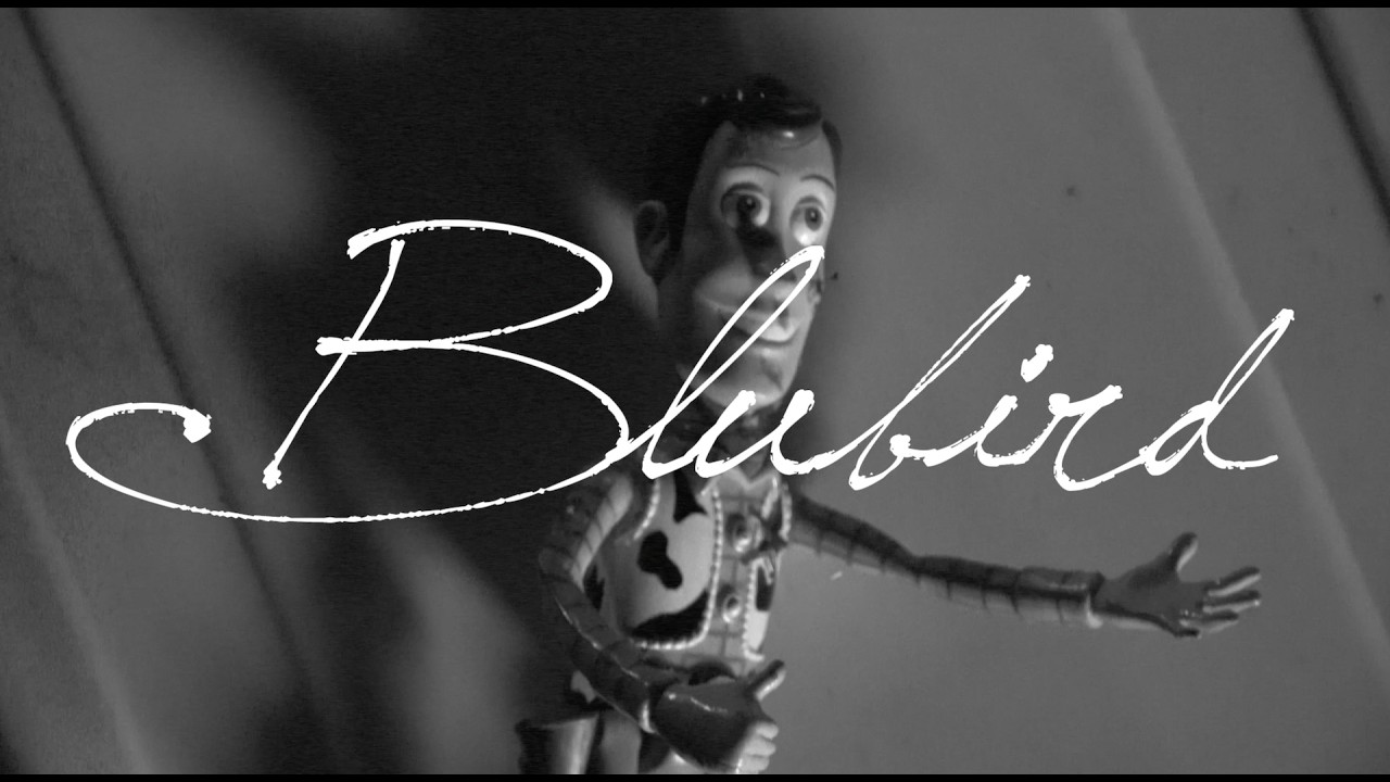 Ryann Ross  - Blubird  (Music Video)