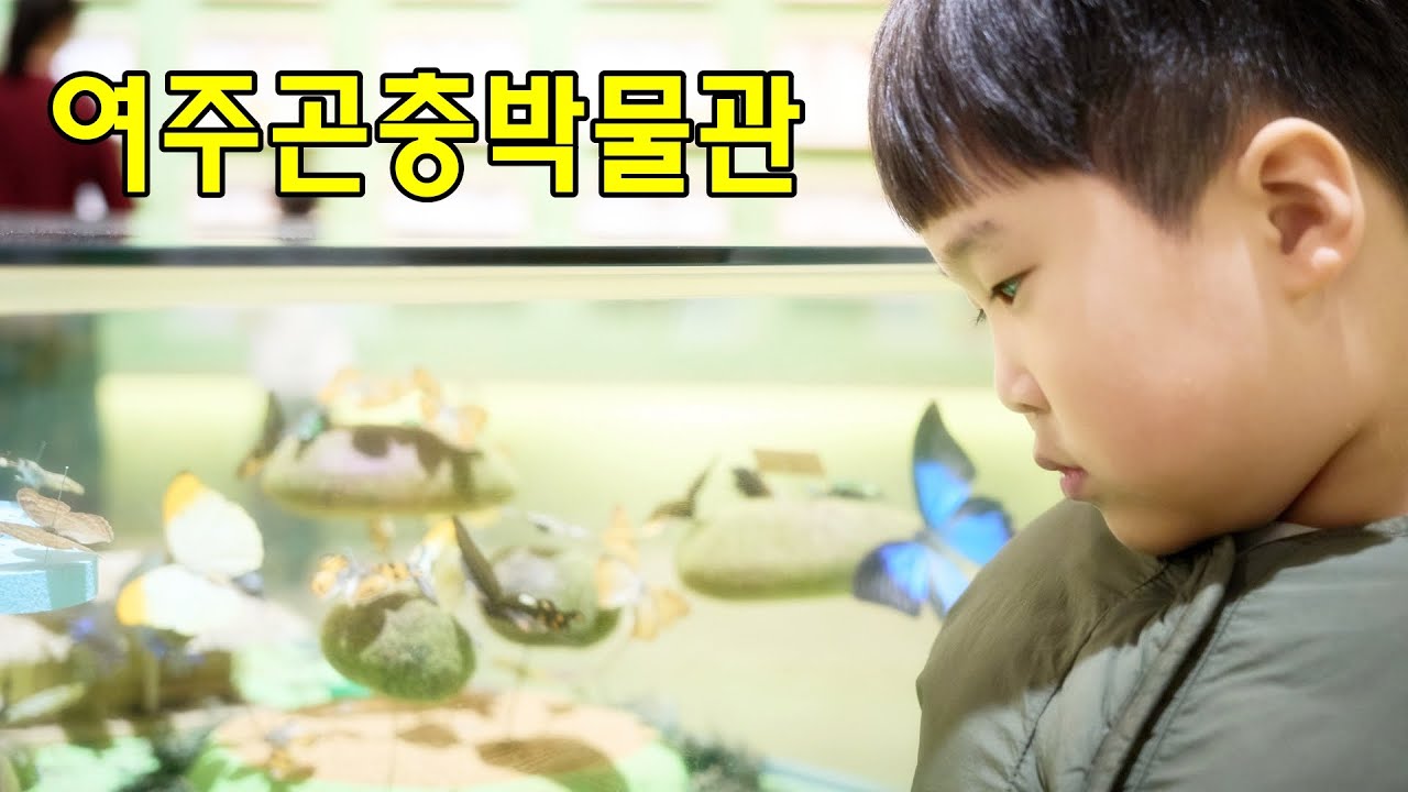 겨울철 아이 대리고 실내 갈만한 곳... 여주곤충박물관!!!!