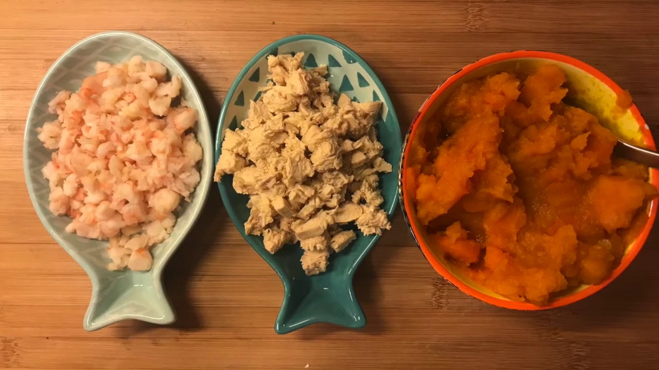 Recette maison pour votre chat