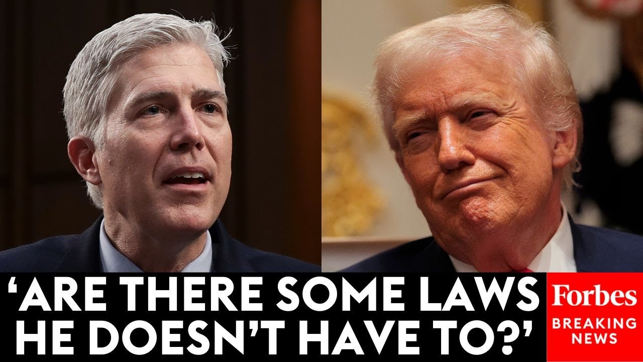 'I Didn't Ask That': Neil Gorsuch Doesn't Let Up On Attorney About President's Duty To Execute Laws