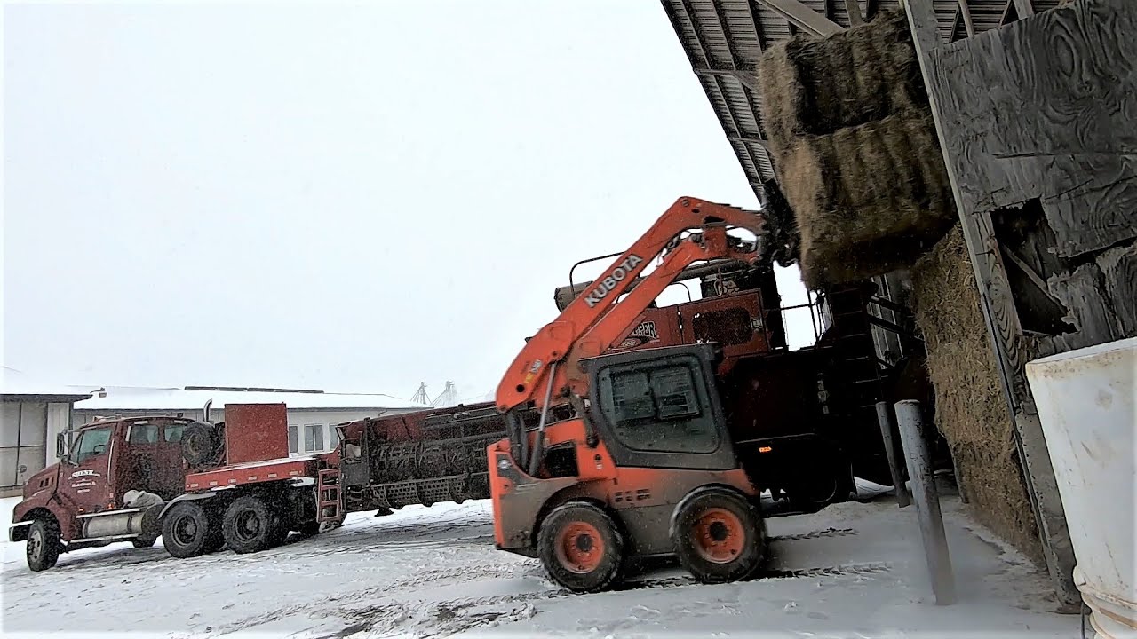 Chopping Bales & New Holland Didn't Sell