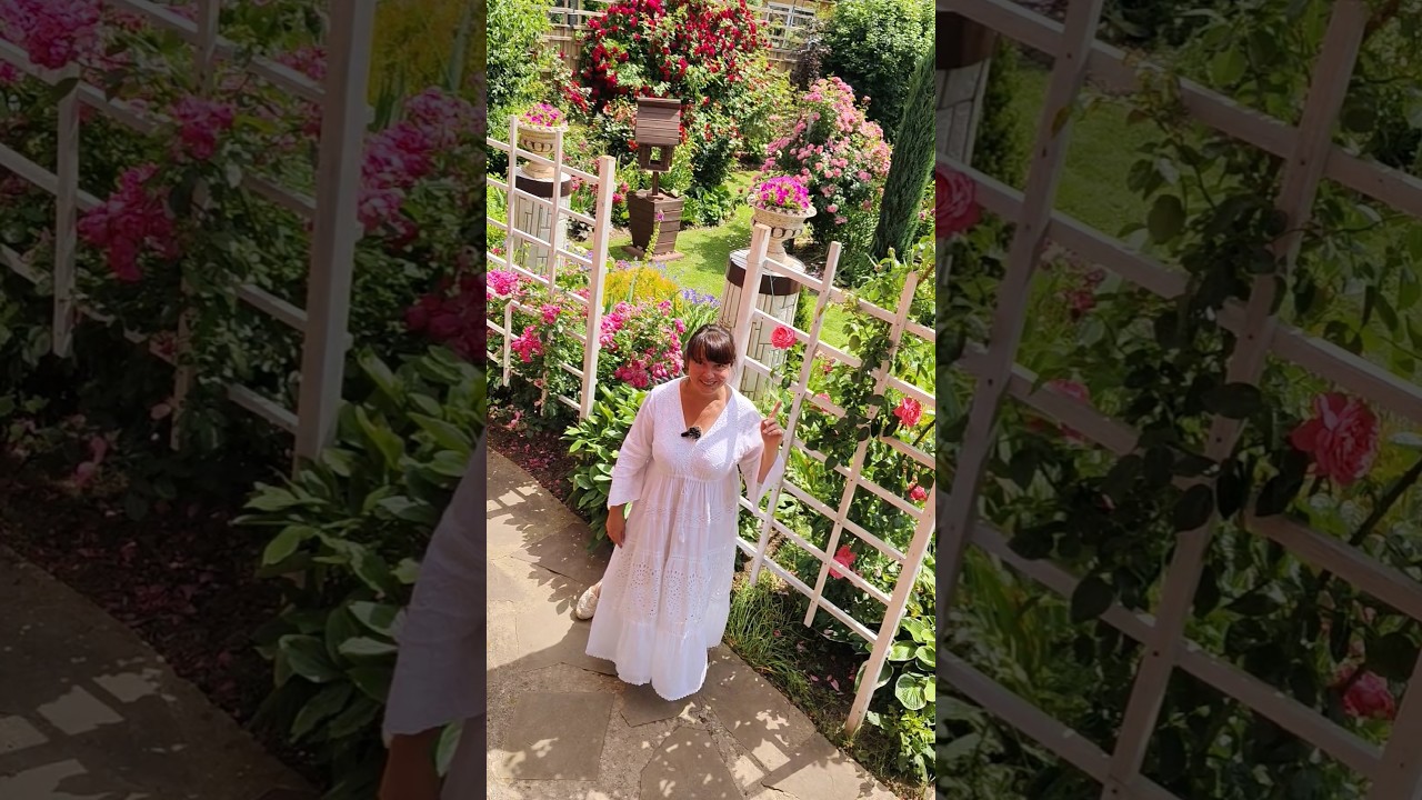 Лучшие ПЛЕТИСТЫЕ РОЗЫ для сада!