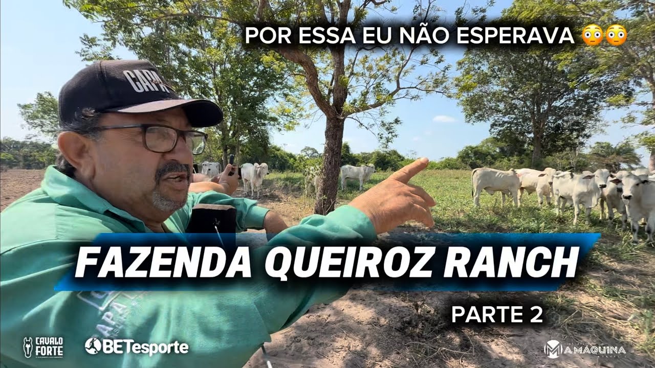 PARTE 2 FAZENDA DO EDMAR QUEIROZ - REDENÇÃO/PARÁ - PAI DO NATHAN QUEIROZ 