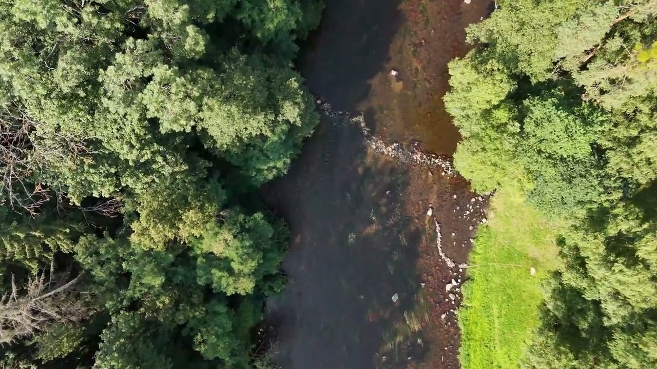 Beautiful summer nature with a river and forests. The Jihlava River in the Czechia 4K drone DJI Flip
