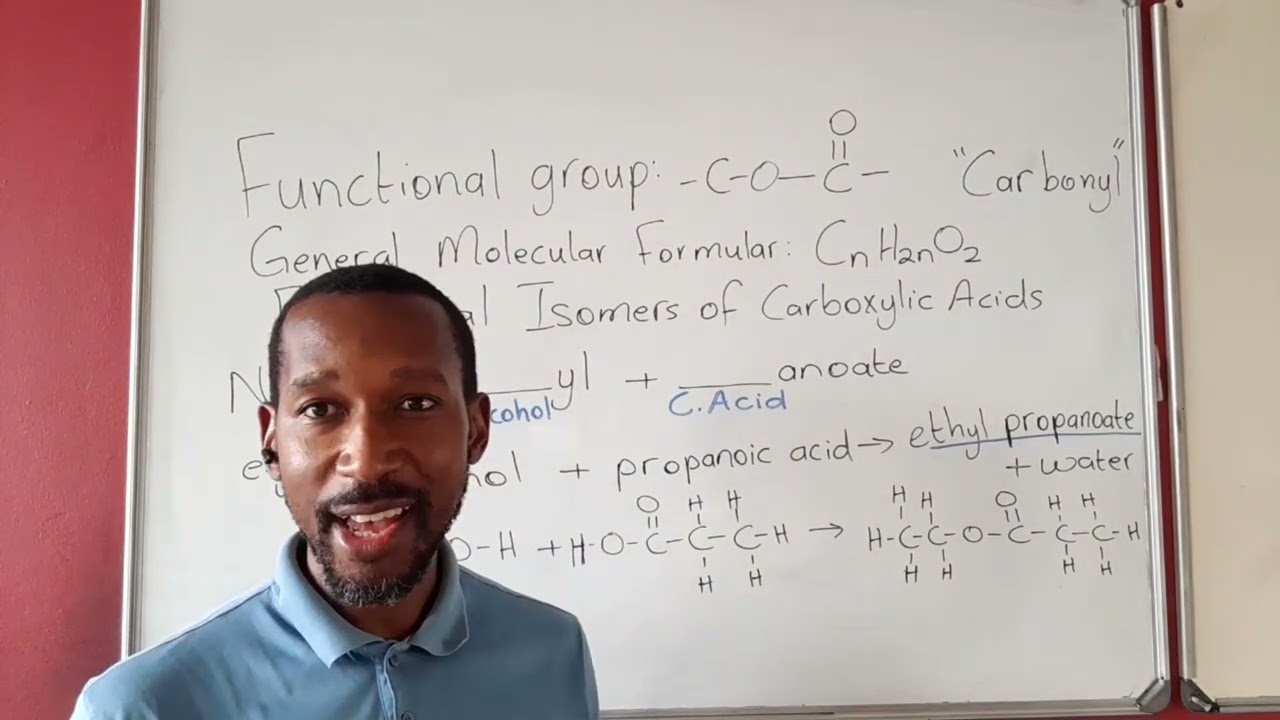 Organic Reactions: Esterification 