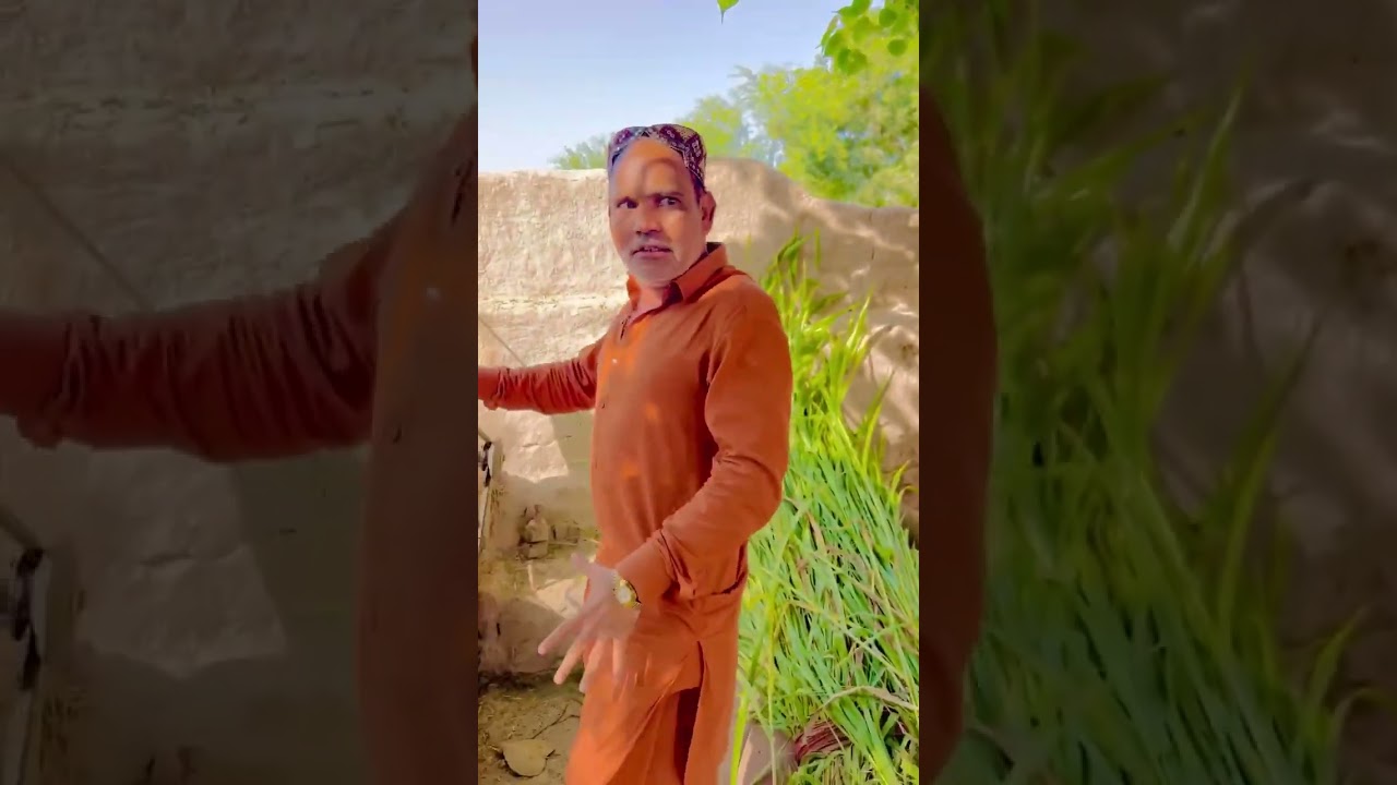 khasi Bakra | ALAM JAAN BEST COMEDY #virelvideo #funny #foryou #comedy