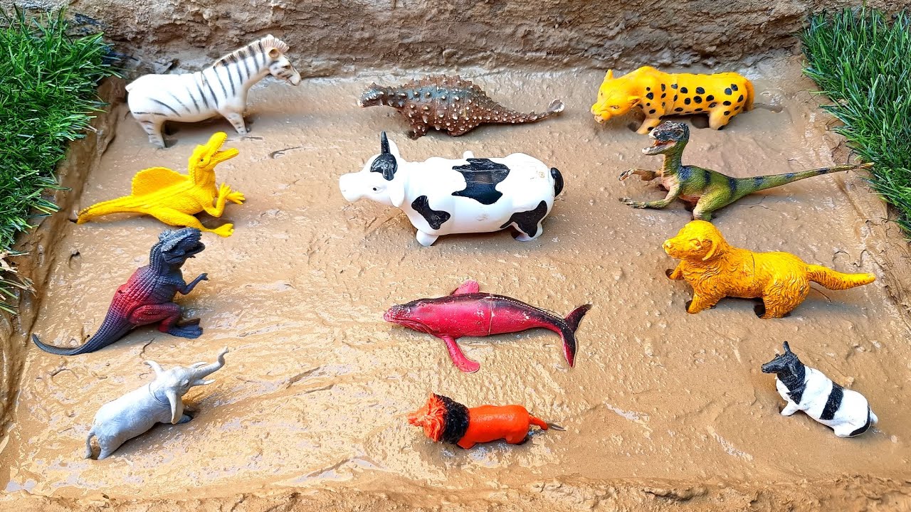 Satisfying toy cleaning dinosaur, cow, dog, sharks, elephant, zebra, lion and zebra 