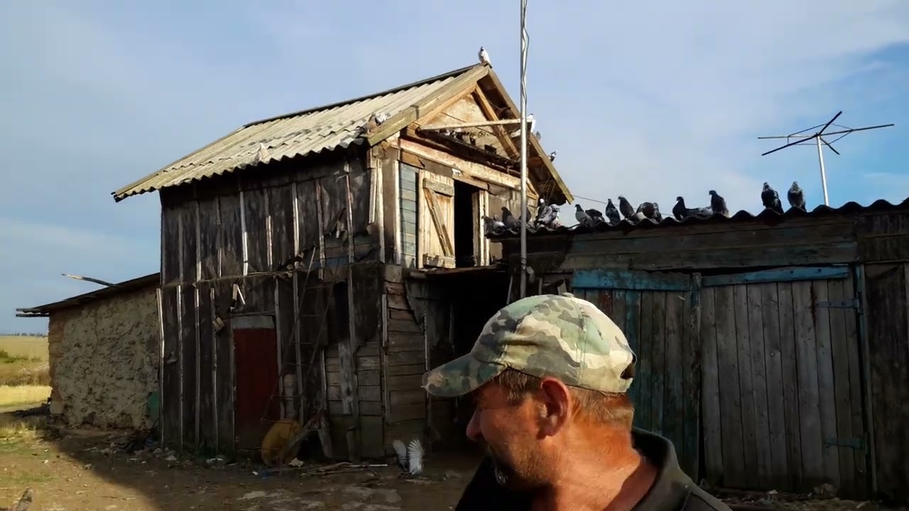 Николаевские голуби --с Шкурыновка. Бунчук Юрий Григорьевич 2023г.