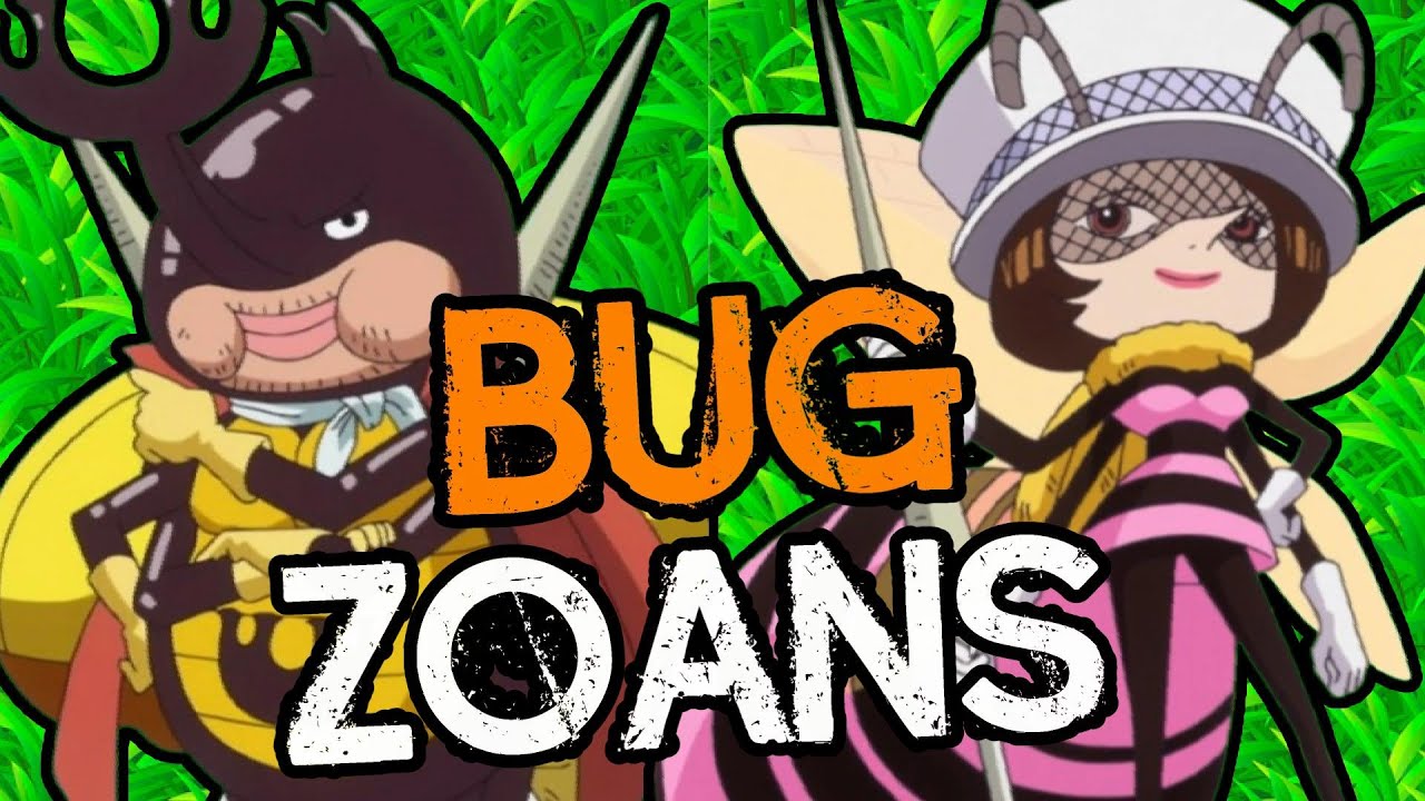 🦋 INSECT ZOANS In One Piece!! 🦋