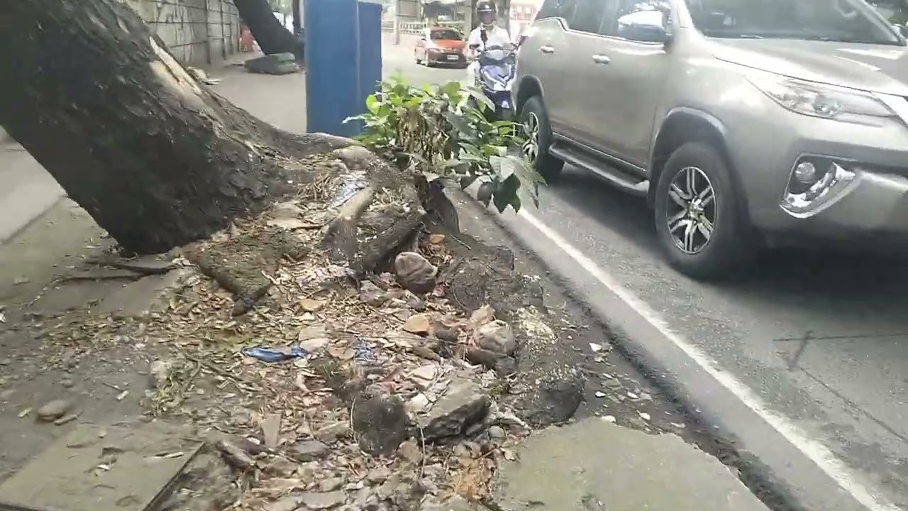 LAMYERDA SA MAYNILA