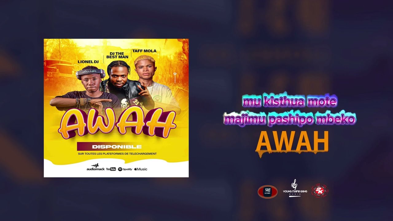 LIONEL DJ -  AWAH  [ feat TAFF MOLA  & DJ THE BEST MAN ] #video #visualizer #2025