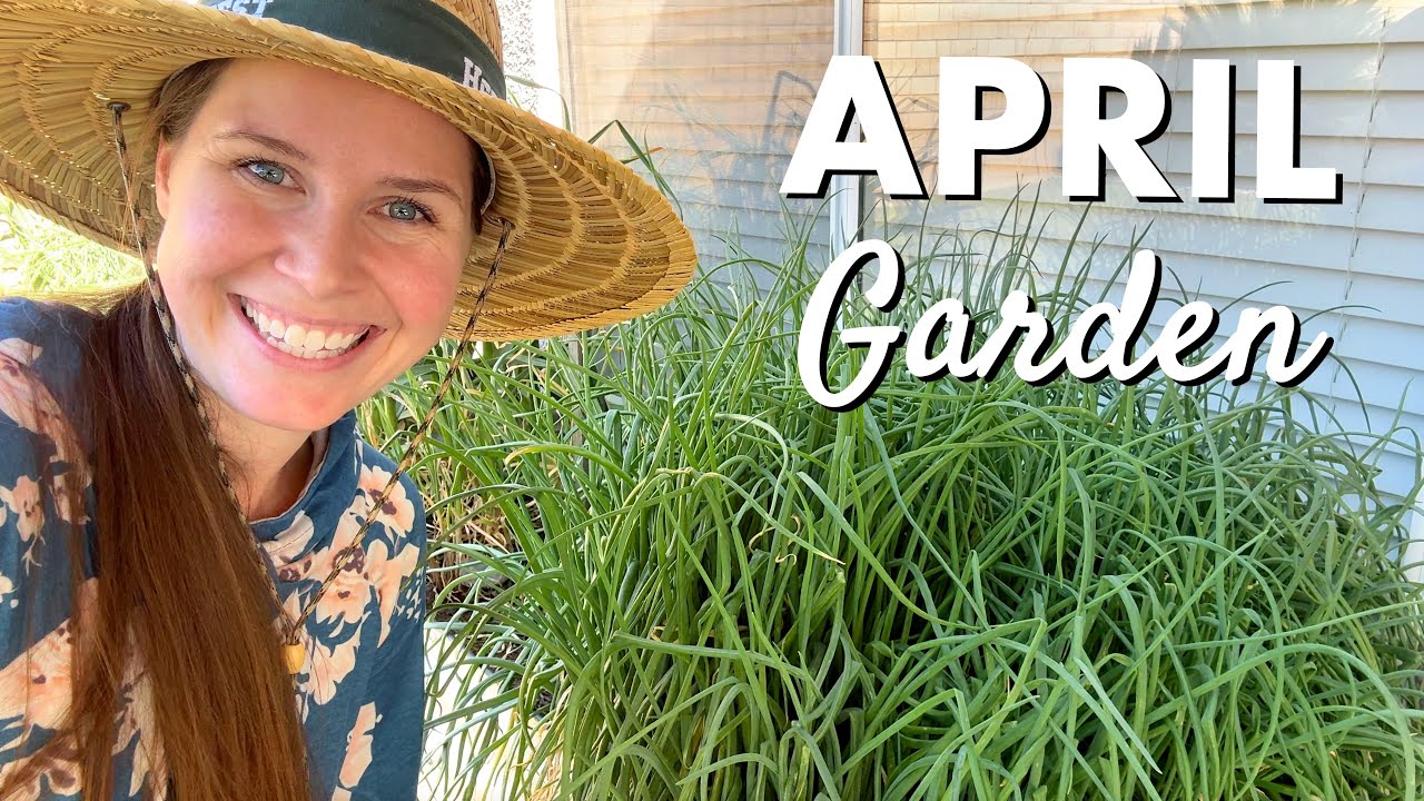Zone 10 April Garden | I love this time of year!