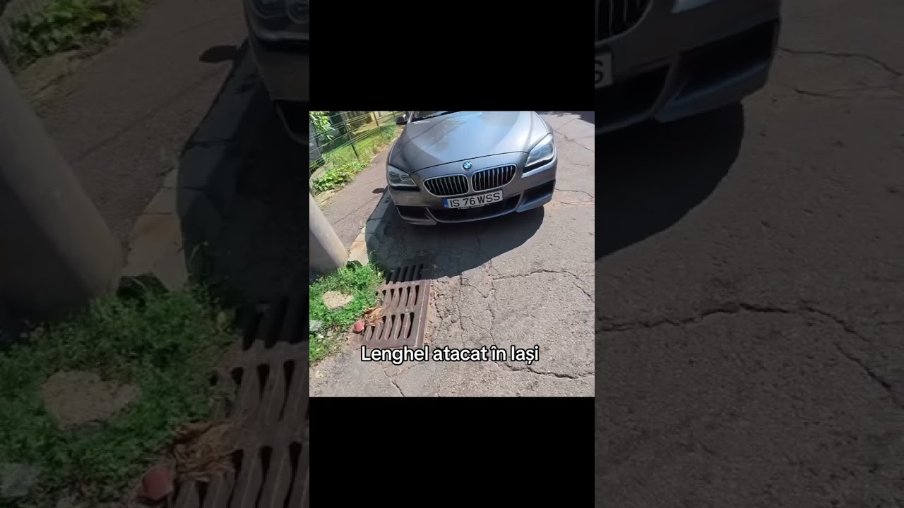 &icirc;mi place să măn&acirc;nc (Lenghel) atacat &icirc;n Iași de o femeie nebună