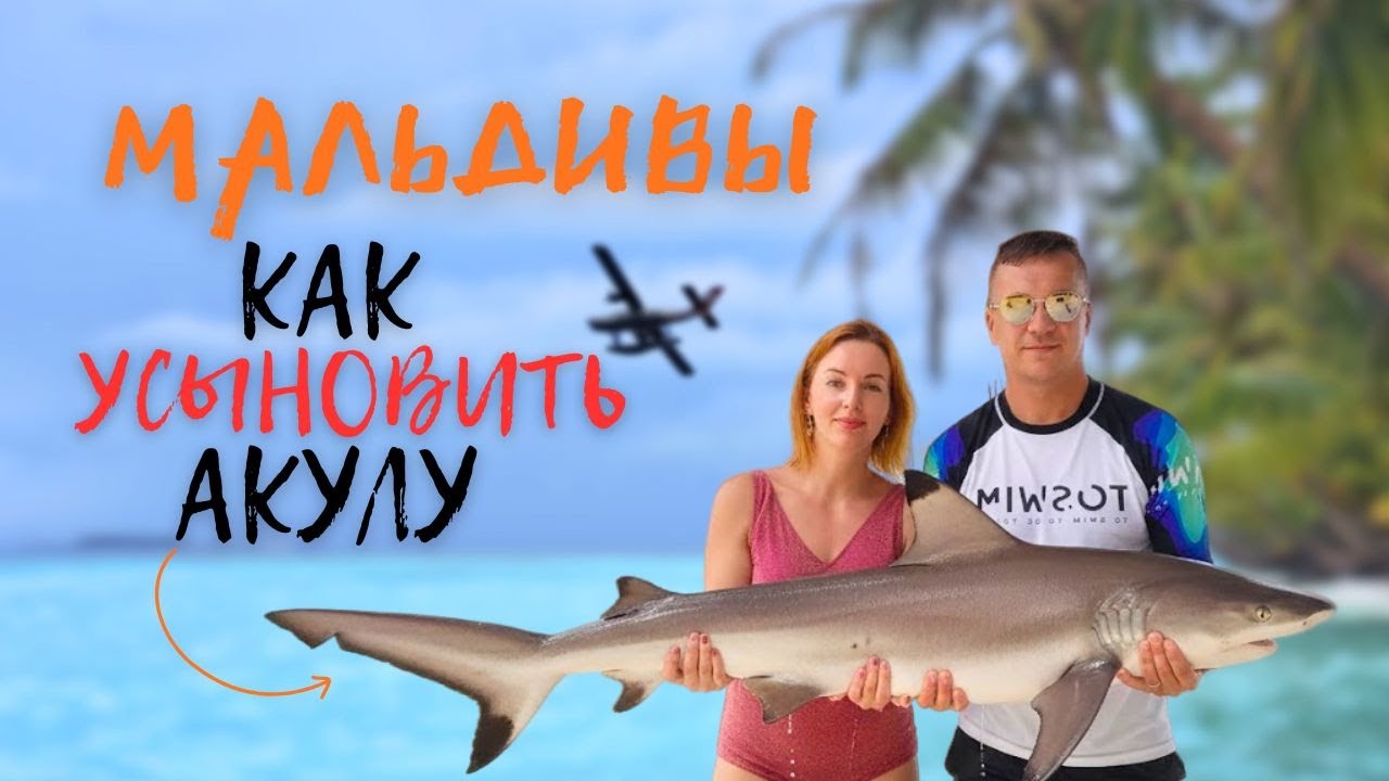 Свежий обзор Bandos Maldives: Water Villa vs Beach Front &mdash; райский отдых на маленьком острове