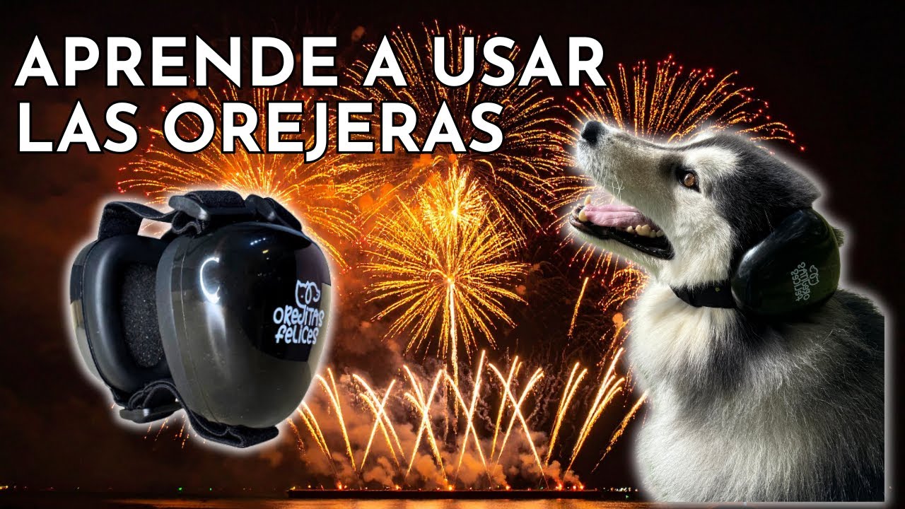 C&oacute;mo usar las orejeras antirruido para perros 🐶 | Orejitas Felices contra fuegos artificiales