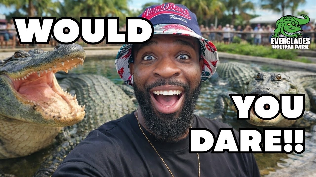The Alligator show in Miami