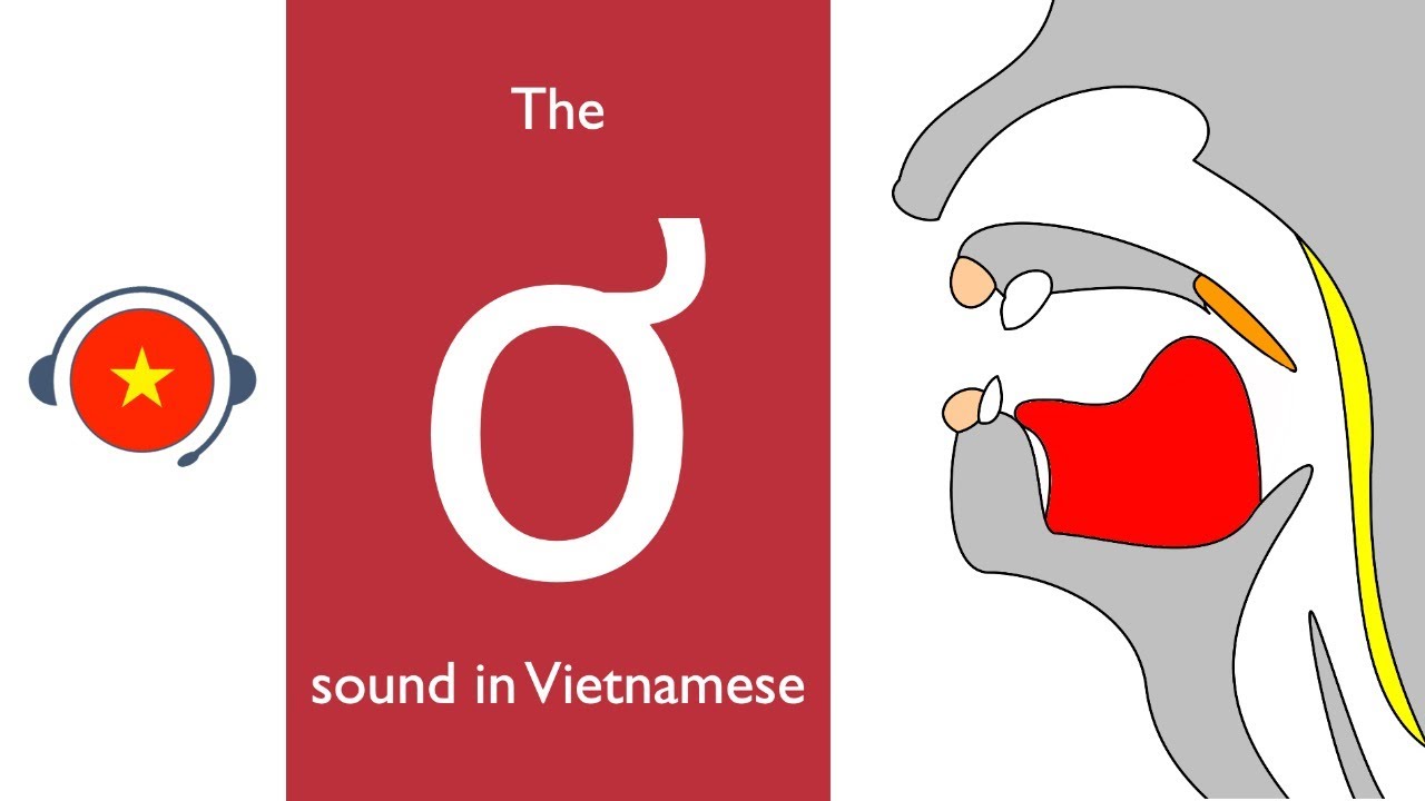 🇻🇳 Vietnamese : ơ sound. Learn sound system in Vietnamese. Vietsound.