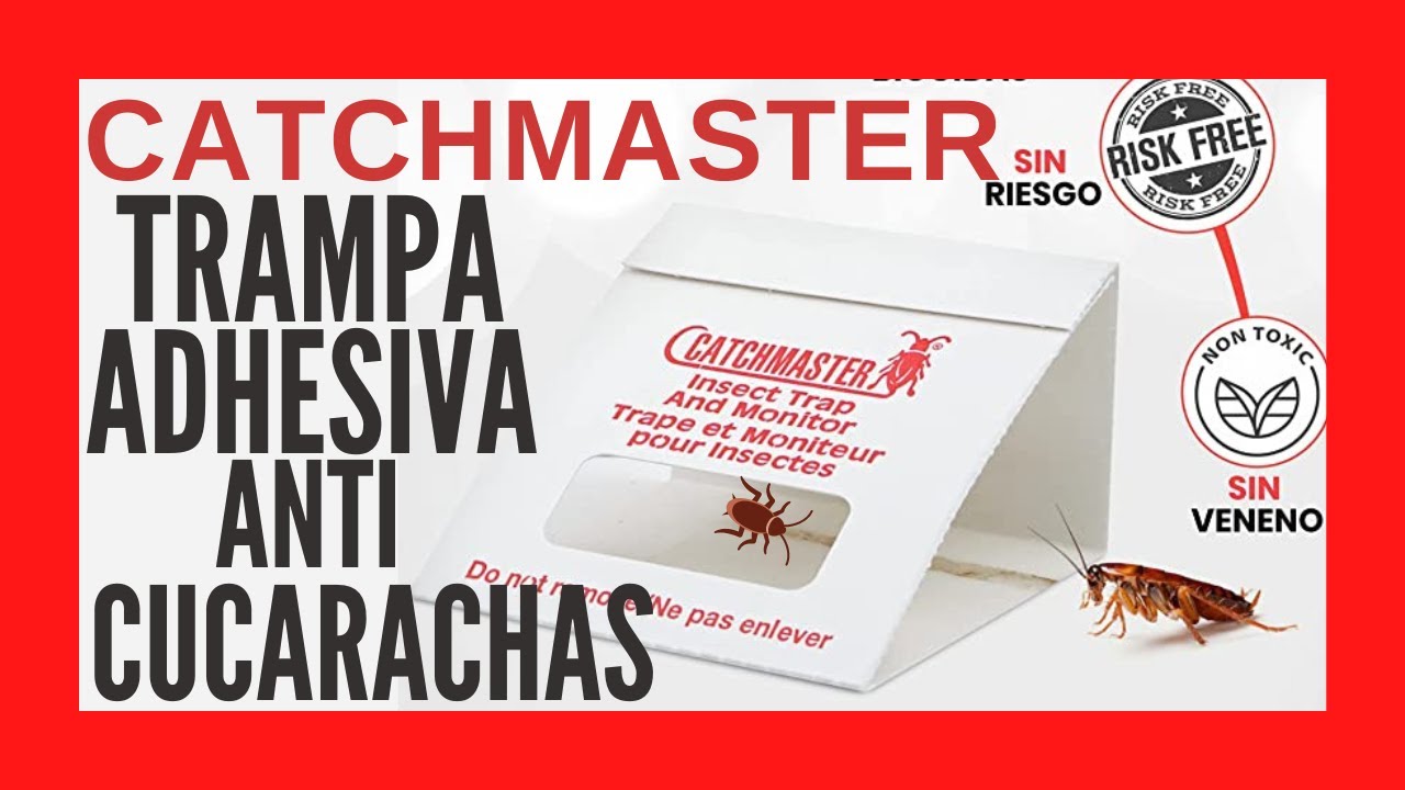 Trampa Catchmaster para Cucarachas | DETRAMAS