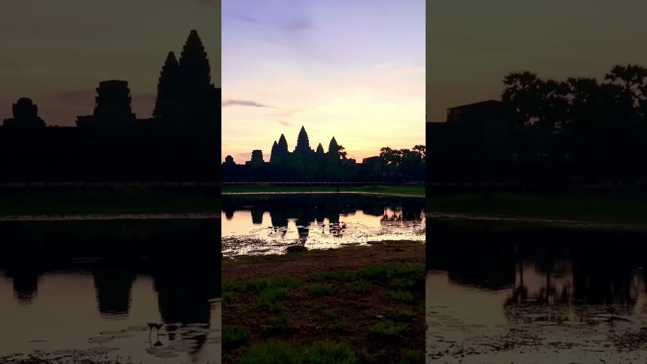 WHAT DO THEY UP FOR? #shorts #siemreap #monks #dailylife #holytemple #dailyvlog #travelcambodia