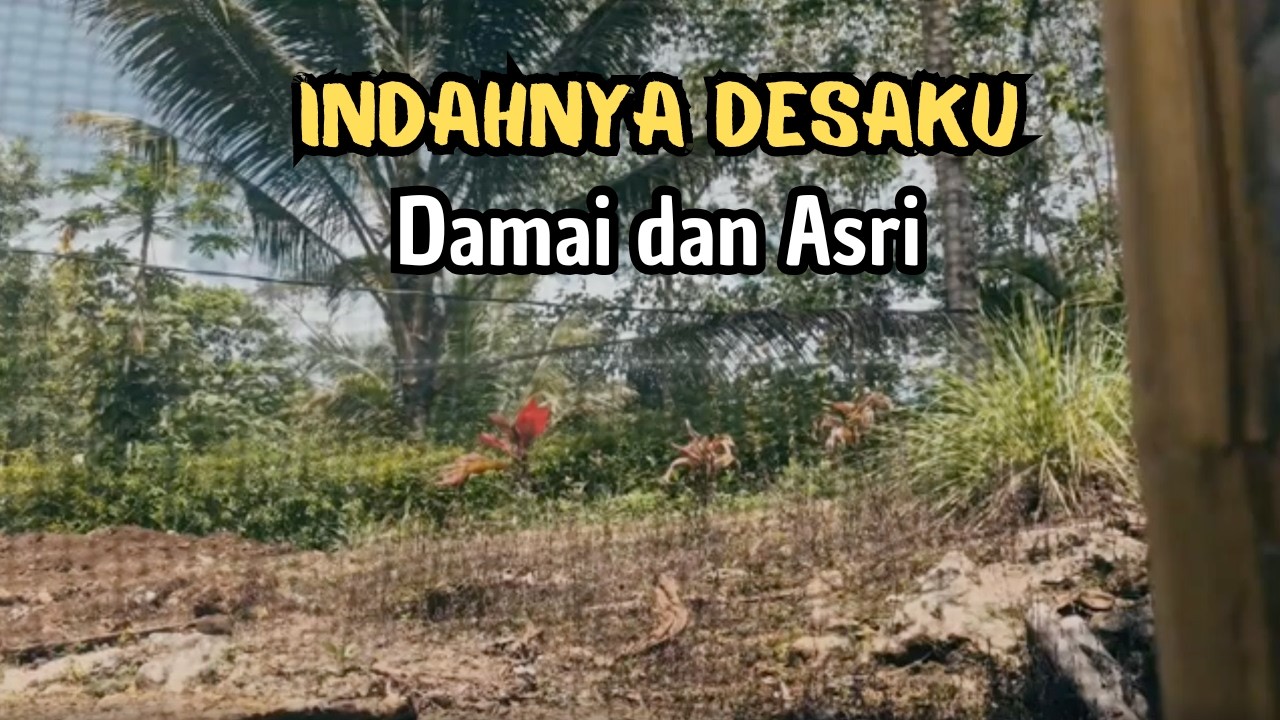 LAGU ROMANTIS RHOMA IRAMA FULL ALBUM TANPA IKLAN