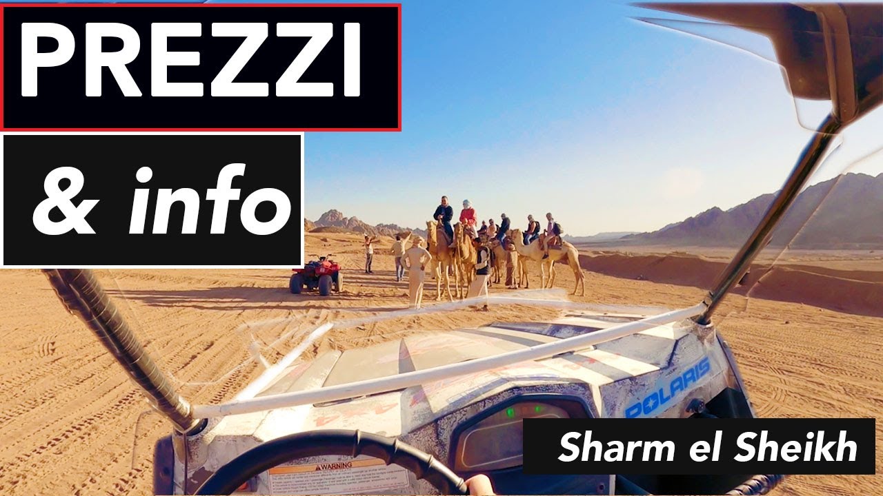 🧞‍♂️SHARM - BUGGY SAFARI nel DESERTO d' 