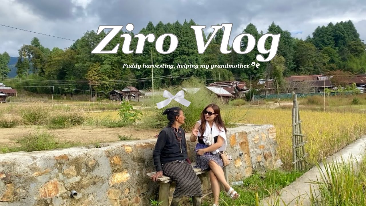 Ziro Vlog 🌾 Arunachal Pradesh, Paddy harvest in Ziro 