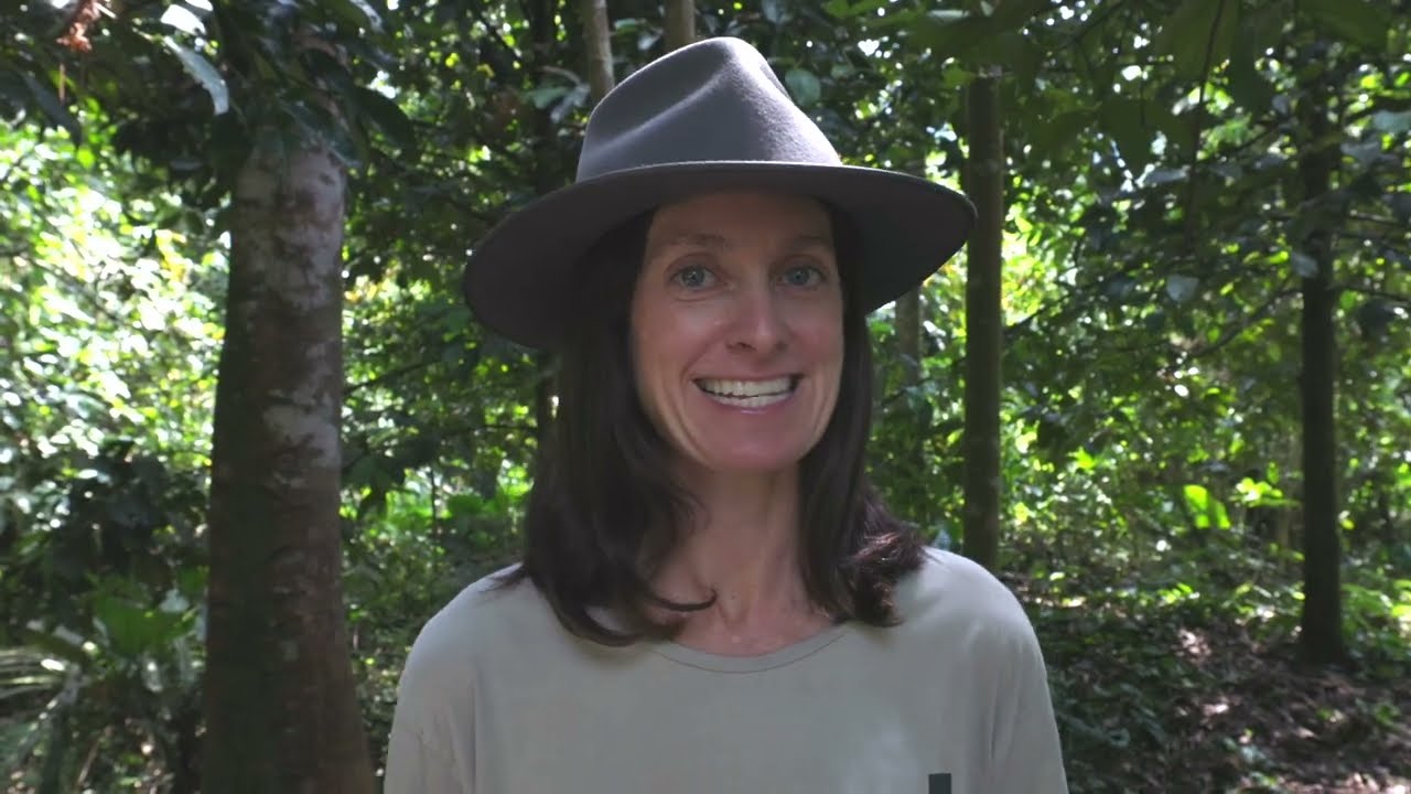 A Day in the Life of a Conservationist - Monitoring Orangutans in North Sumatra