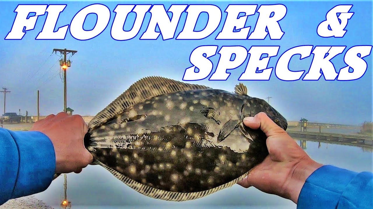 FLOUNDER and SPECKS | Fishing Cameron Louisiana | Fishing HOG Island SABINE refuge Calcasieu Lake